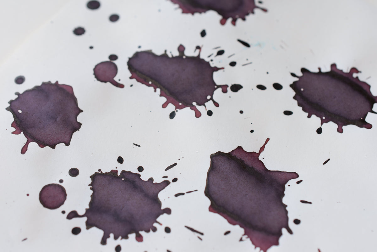 Diamine Blue Edition - Roasted Chestnut