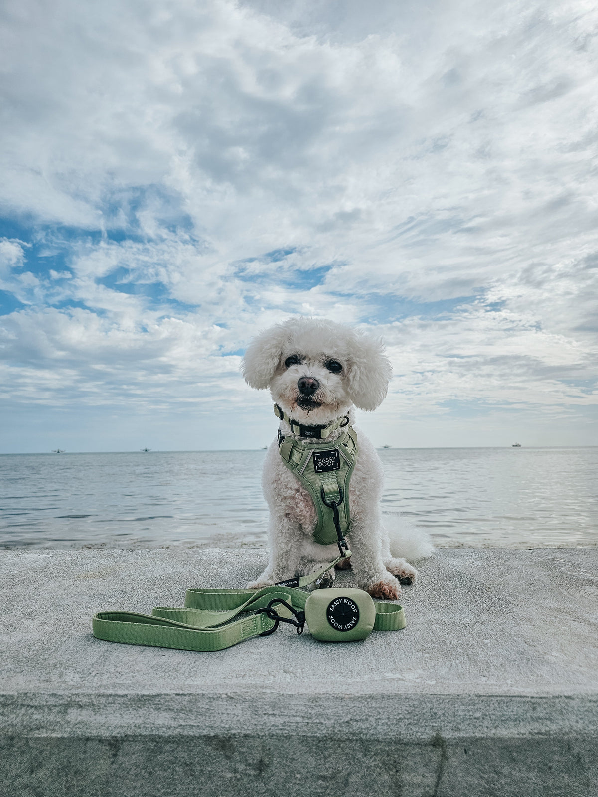 Dog Collar - Matcha