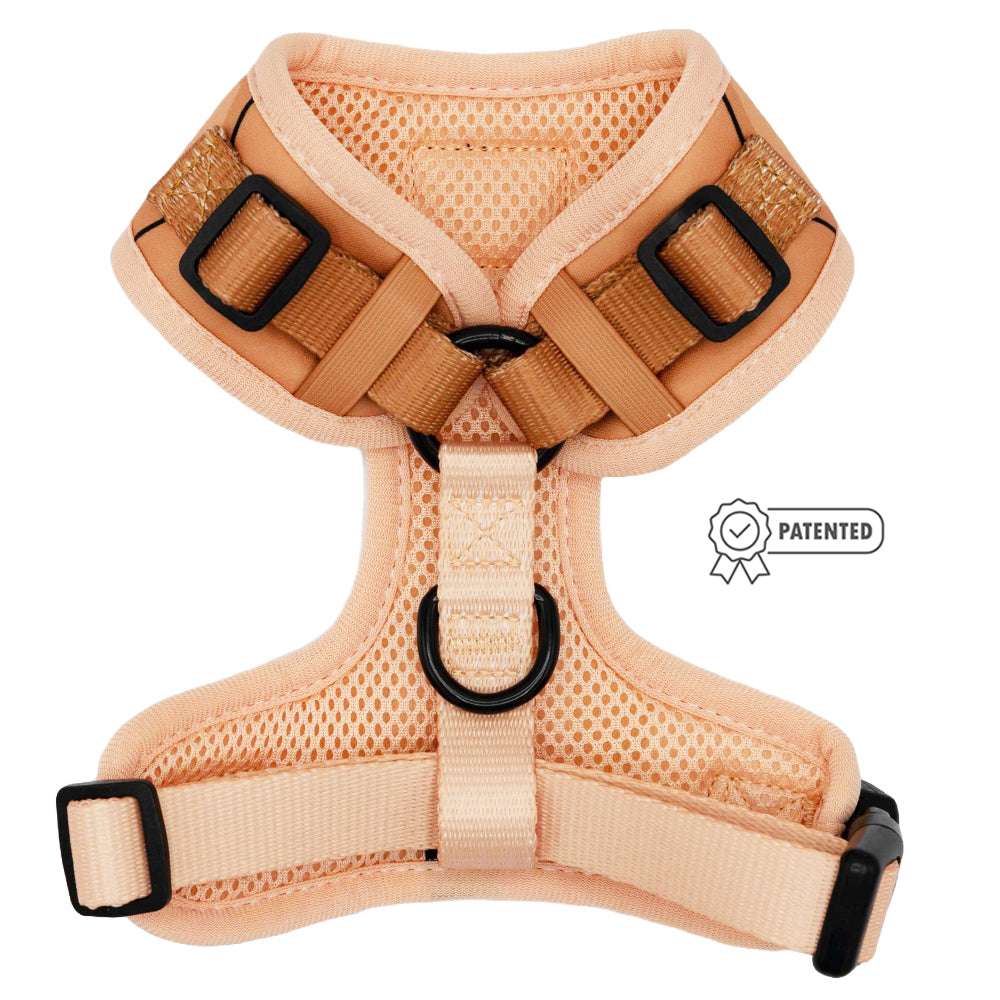Dog Adjustable Harness - Muscle Bod