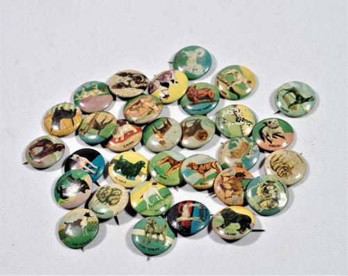 Early 20th Century Dog Breed Pins