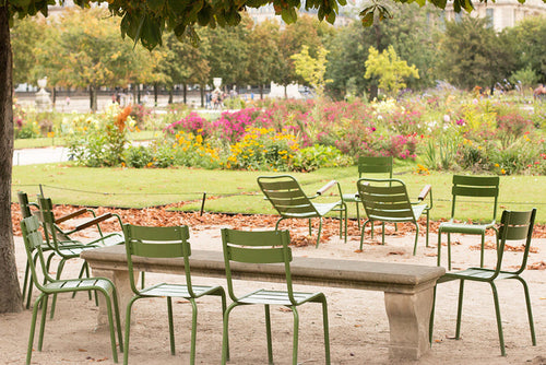 Tuileries Gardens in the Spring - Every Day Paris