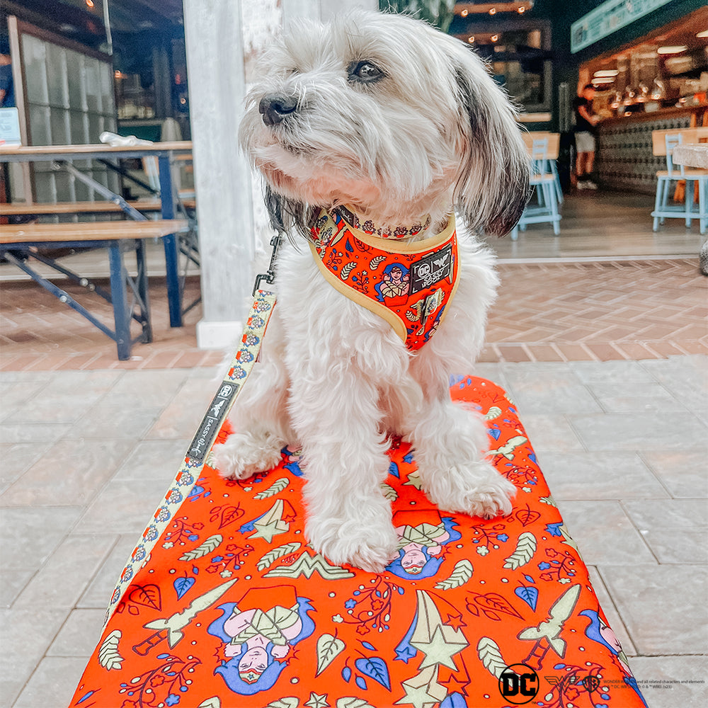 Pet Blanket - Wonder Woman™